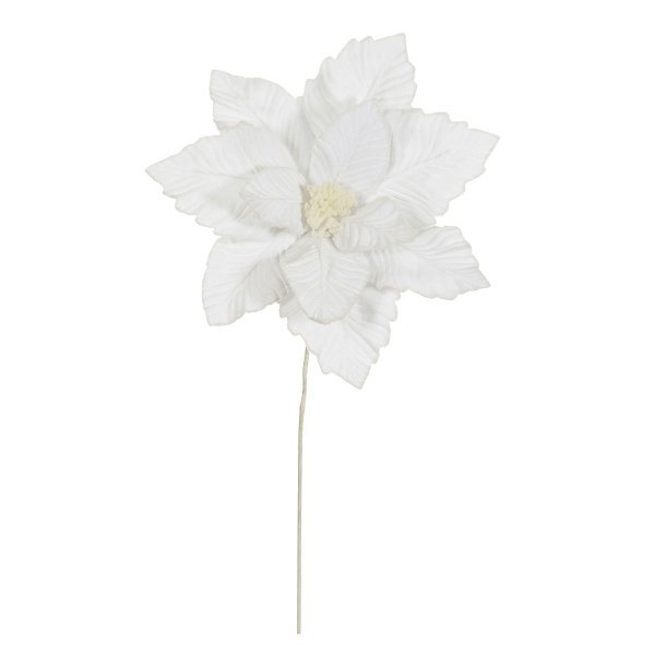 Χριστουγεννιάτικο Λουλούδι Αλεξανδρινό Λευκό (40cm)